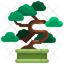 Bansai Tree Icon
