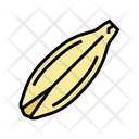 Barley Seed Barley Seed Icon