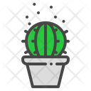 Barrel Cactus Succulent Icon