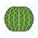 Barrel Cactus Icon