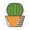 Barrel Cactus In Pot Icon