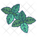 Basil Herbal Spices Icon