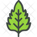Basil  Icon