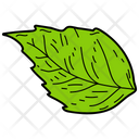 Basil Leaf  Icon