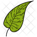 Basil Leaf  Icon