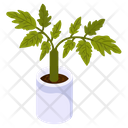 Basil Plant Icon