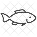 Bass Fish Fish Life Icon
