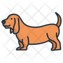 Basset Houd Foxhound Boxer Icon