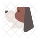 Basset hound Icon
