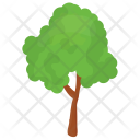 Basswood Tree Icon