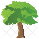 Basswood Odorless Wood Icon