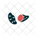 Batata  Icon