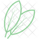 Bay Leaf  Icon