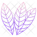 Bay Leaf Icon