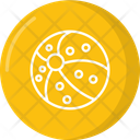 Beach Ball Icon