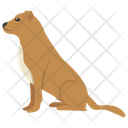 Beagle Icon