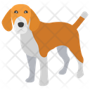 Beagle Dog Breeds Dog Species Icon