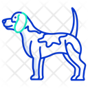 Beagle Beast Dog Icon