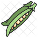 Food Bean Vegetable Icon