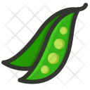 Bean Pea Pod Icon