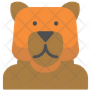 Bear Metamorphic Animal Icon