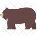 Camping Bear Animal Icon