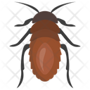Bedbug Icon