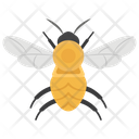 Bee Honey Bee Insect Icon