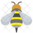Bee Honey Bee Honey Icon