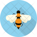 Bee Insects Flying Icon