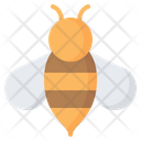 Bee Wasp Insect Icon