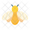Insect Bee Animal Icon