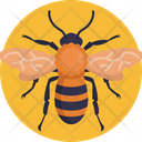 Insects And Bugs Bee Insect Icon