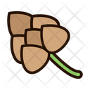 Beer Seeds Plant Icon