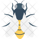 Fly Bees Insect Icon