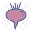 Beet Icon