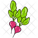 Vegetable Food Beet Icon