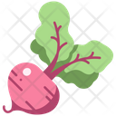 Vegetable Beet Root Icon