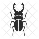 Beetle Icon