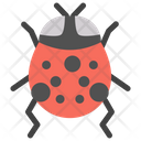 Beetle Icon