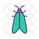 Beetle Icon