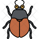 Beetle Icon