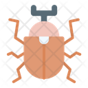 Beetle Insect Bug Icon