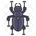 Beetle Icon