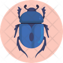 Insects And Bugs Beetle Bug Icon