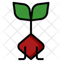 Beetroot Plant Sprout Icon