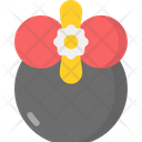 Begonia Icon