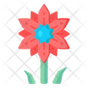 Bellis Flower  Icon