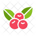 Berries Icon