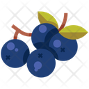 Berries Icon
